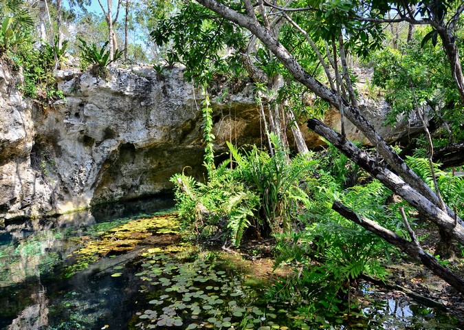 Gran Cenote, Tulum, Mexico